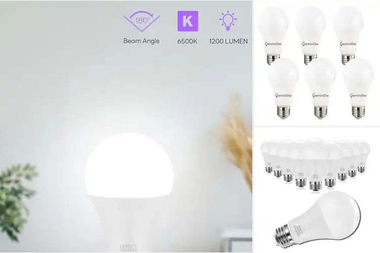 Detailed view of 10 Best 6500K LED Bulbs: Brighten & Save Effortlessly