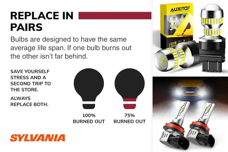 Detailed view of 10 Best Daytime Running Light Bulbs for Safer Drives