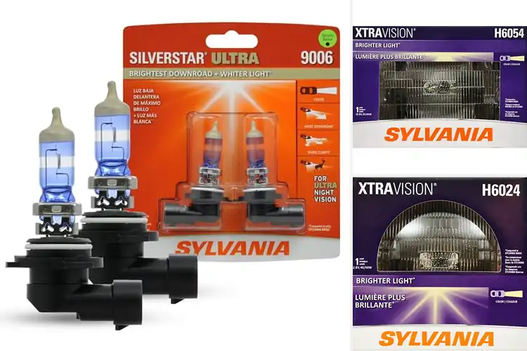 Detailed view of 10 Best Downroad Visibility Bulbs for Clearer Safer Drives