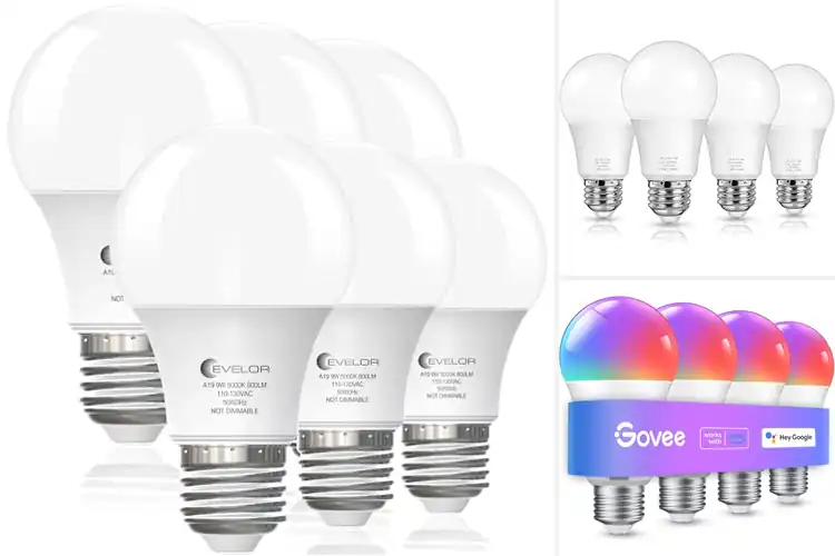 Detailed view of 10 Best LED Bulbs That Slash Your Energy Bills