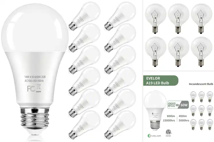 Detailed view of 10 Best Lifespan Bulbs: Bright, Efficient, Long-Lasting